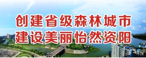 美国大长吊狂操女人视频创建省级森林城市 建设美丽怡然资阳